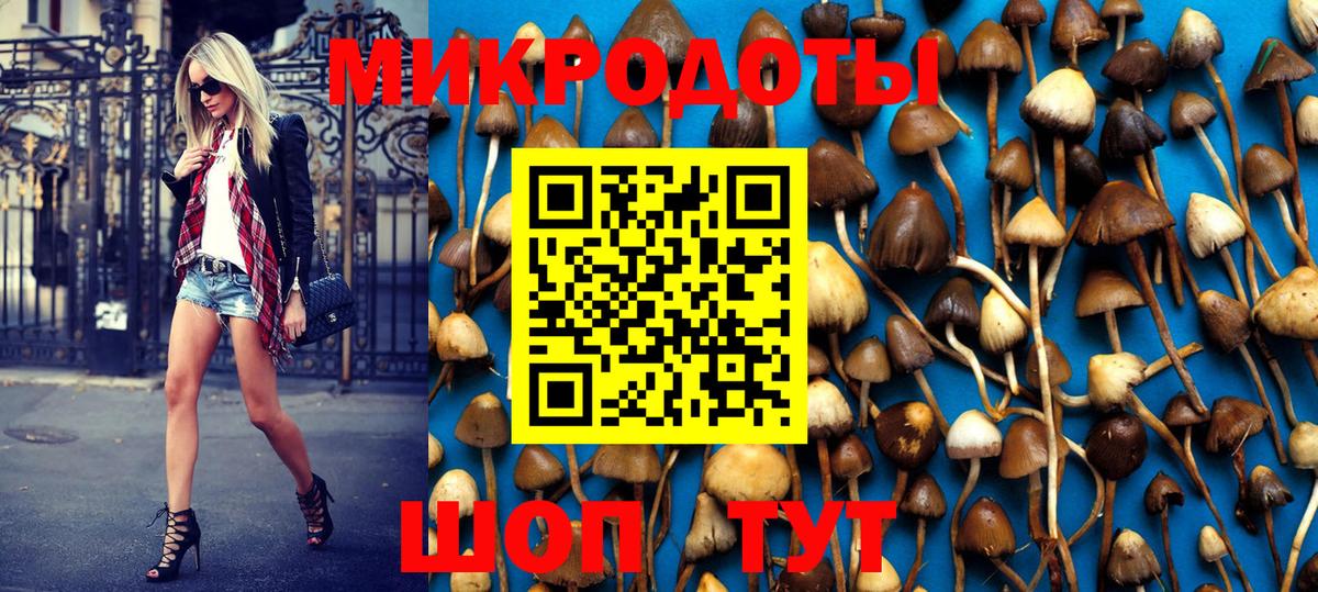 Псилоцибиновые грибы Psilocybe Вичуга