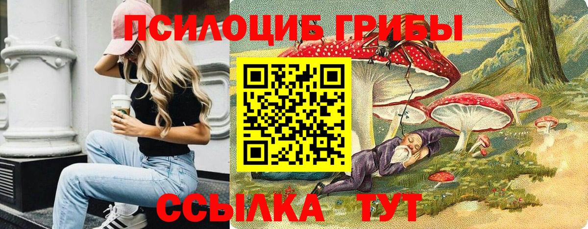 Галлюциногенные грибы Psilocybe  Вход с VPN  Вичуга 