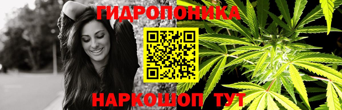 Бошки марихуана Ganja Вичуга